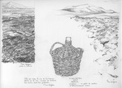El vino del pa&iuml;s
