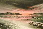 Cr&eacute;puscule