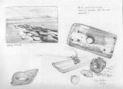 Voir la mer ensemble